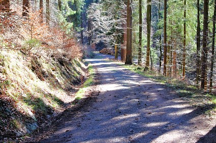 radtour-thueringerwald